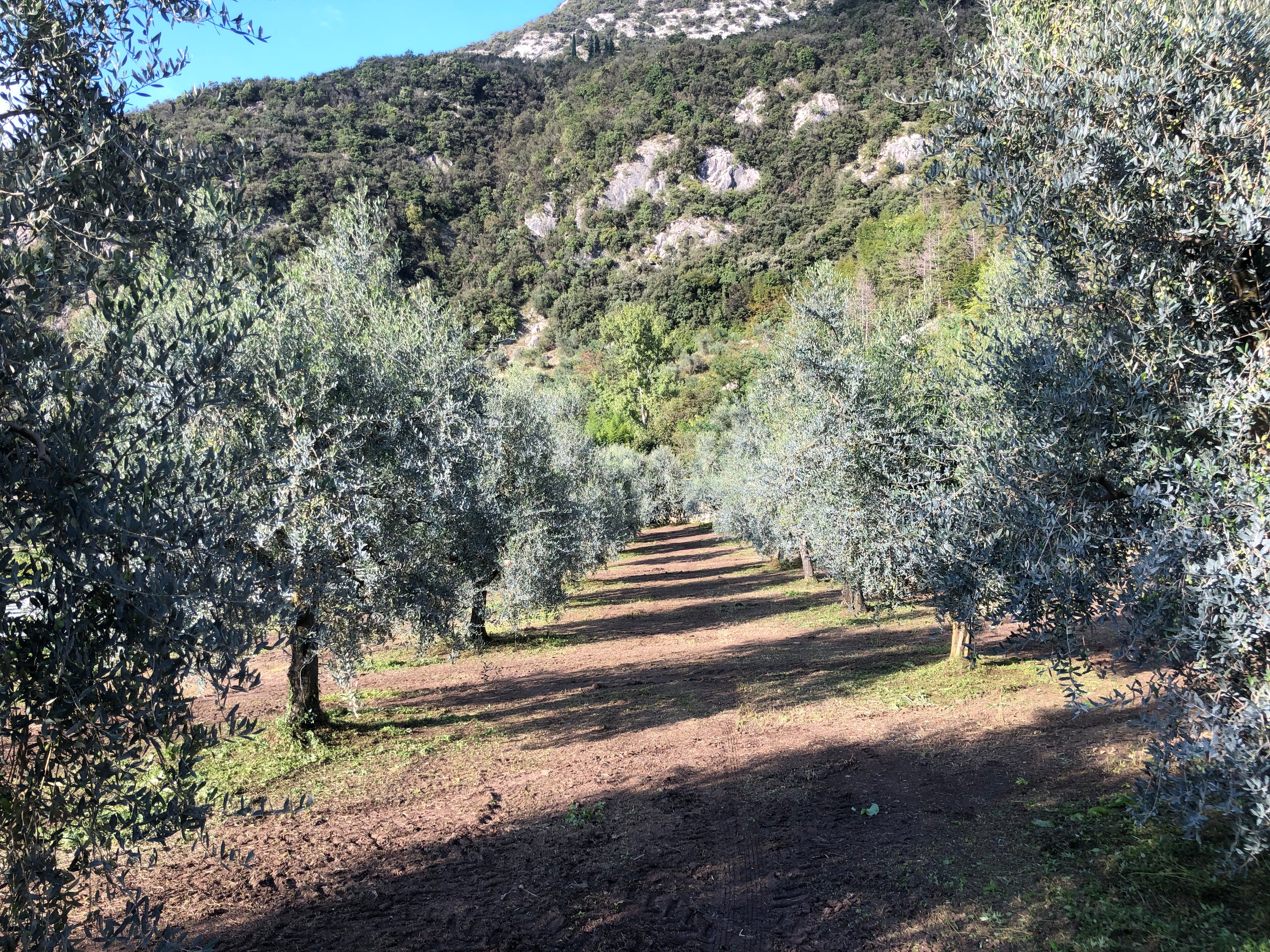 Azienda Extraemo ad Arco