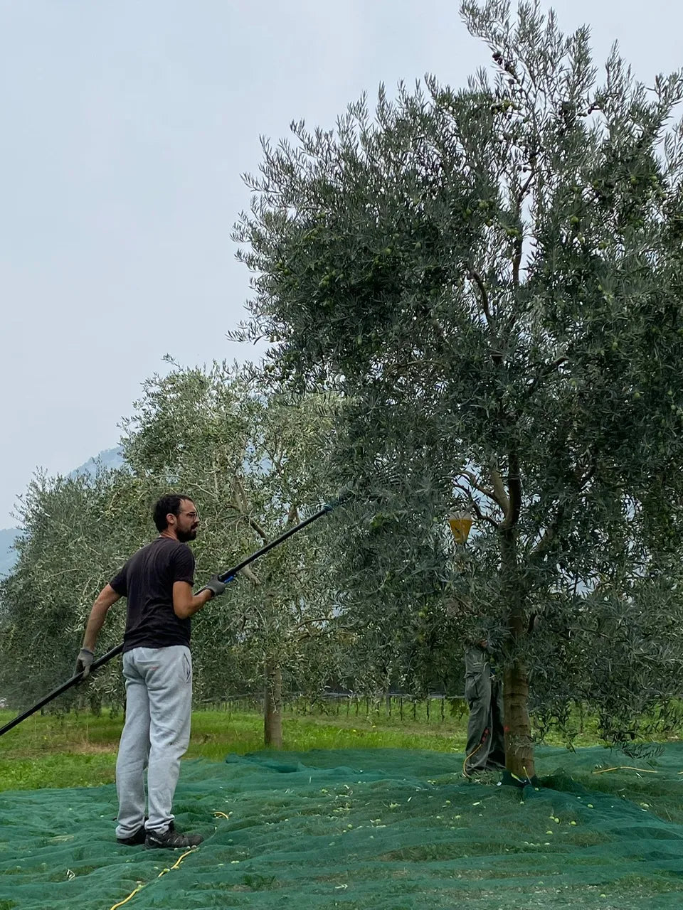 Famiglia dell’Azienda Agricola Del Fabbro, marchio Extraemo