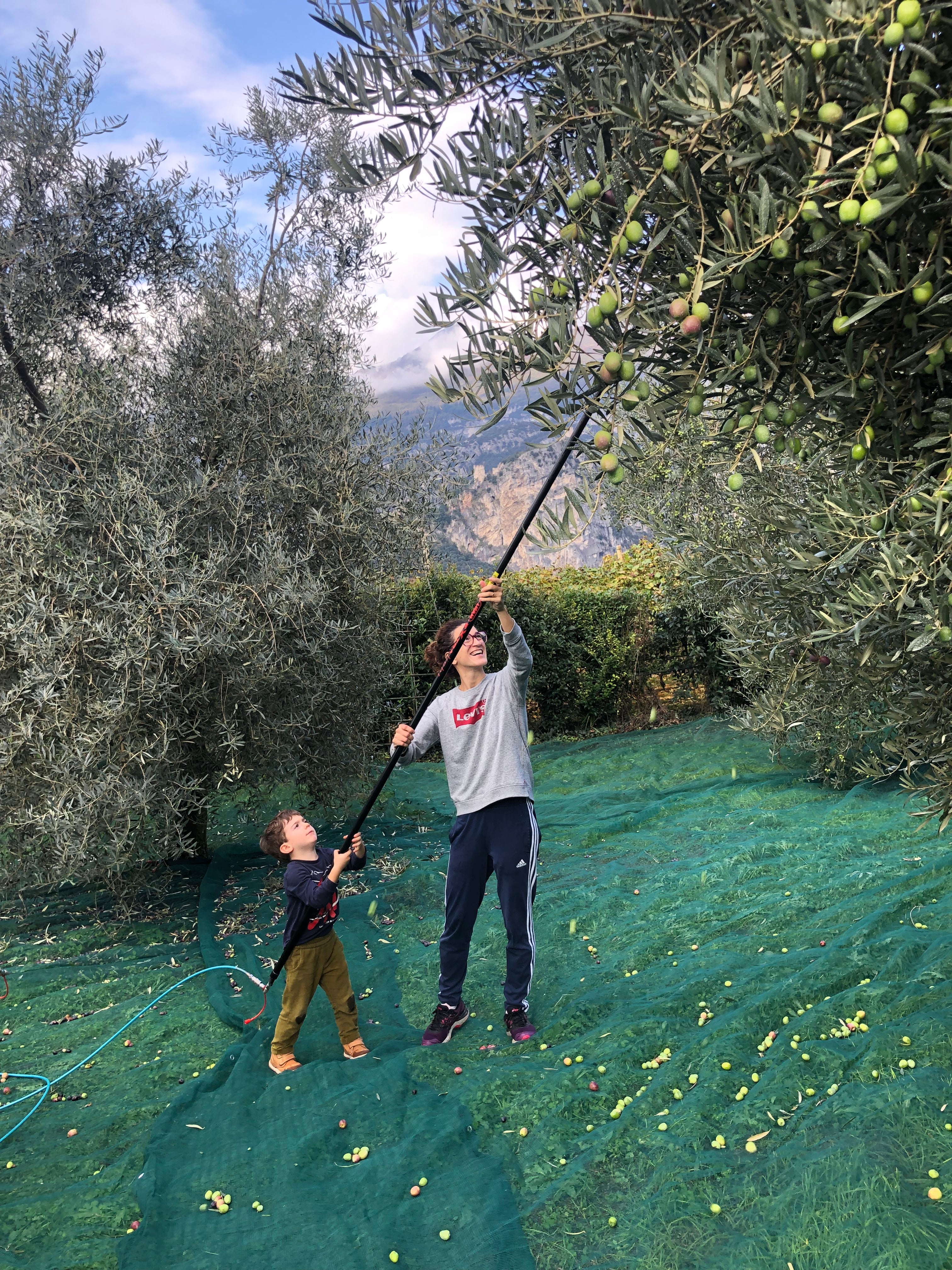 Famiglia dell’Azienda Agricola Del Fabbro, marchio Extraemo in oliveto