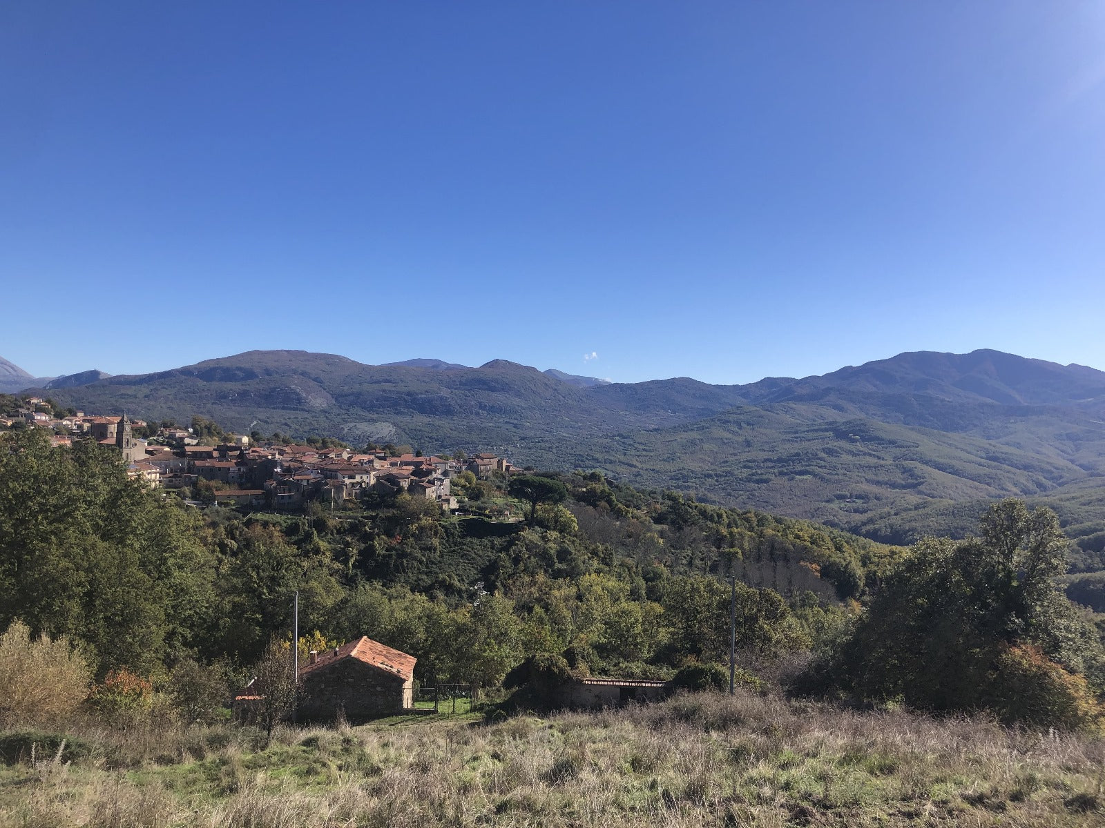 Oliveto Laura Extraemo a Stio vista panoramica