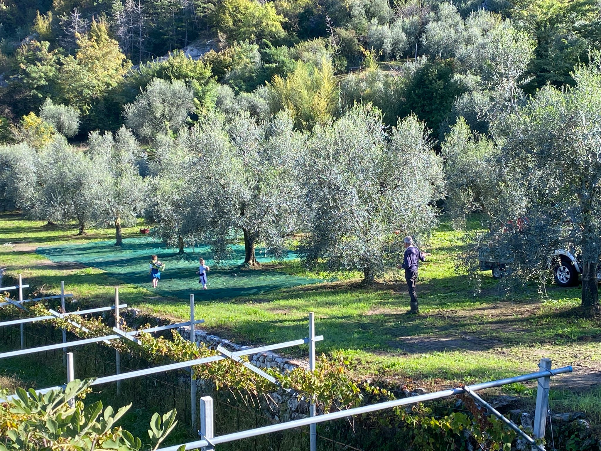 Produzione Extraemo lavorazione