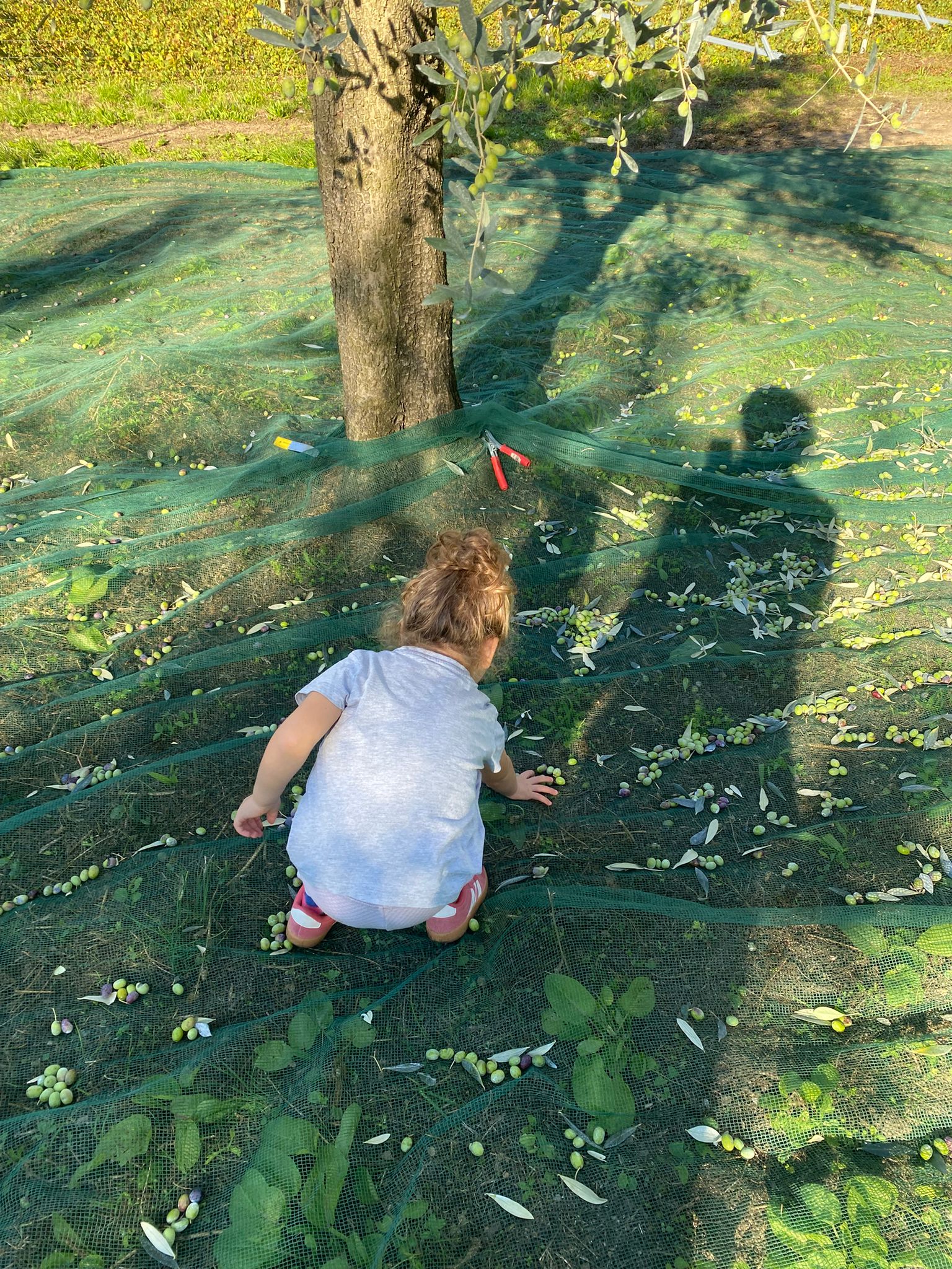 Produzione Extraemo dettaglio