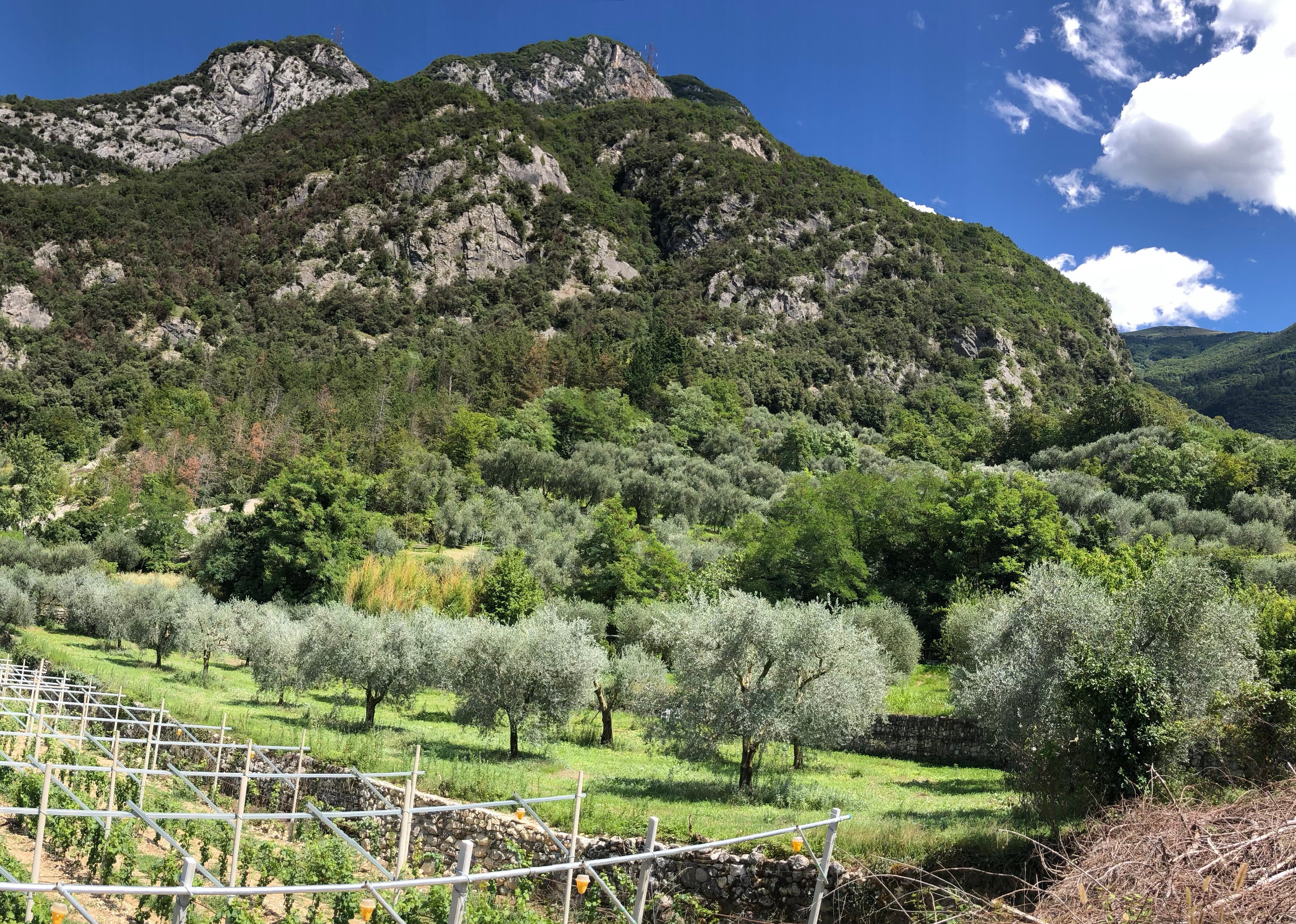 Tenuta Extraemo ad Arco